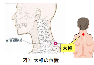 図2　大椎の位置